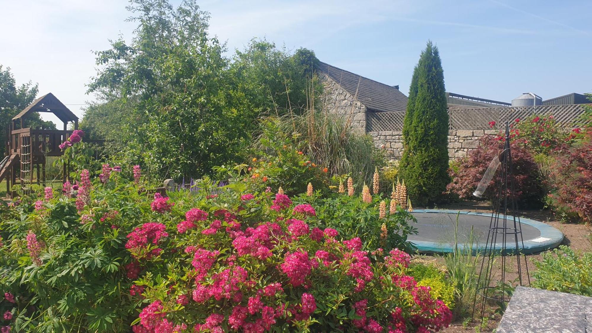 Grove Cottage At The Lodge Tullow Exterior foto